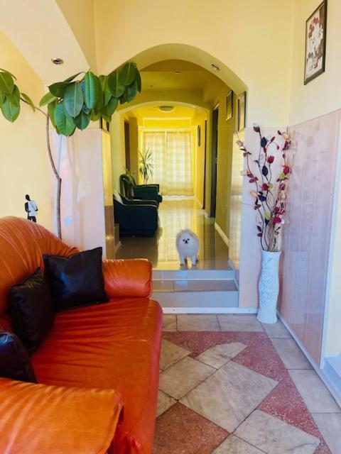 Pensiune Perla Dunarii Giurgiu Extérieur photo