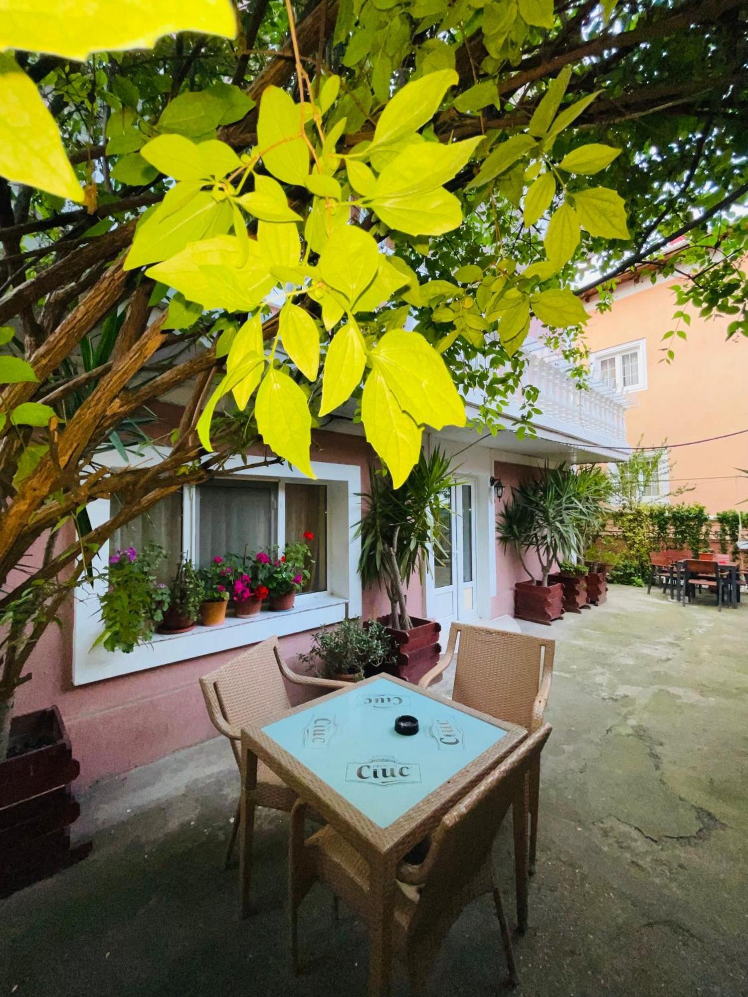 Pensiune Perla Dunarii Giurgiu Extérieur photo